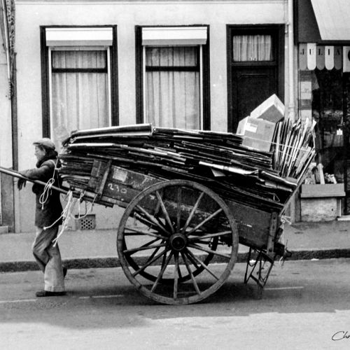 Lille - Nord - France - Cartonnier dans la rue
