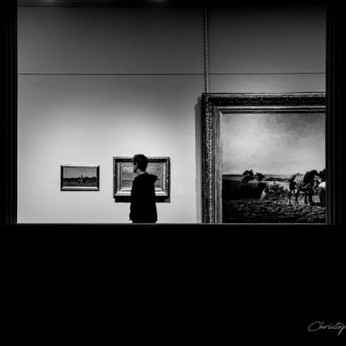 Musée des Beaux Arts de Pau