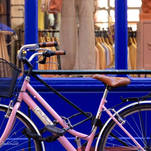 Les couleurs de Toulouse (Haute-Garonne | France)