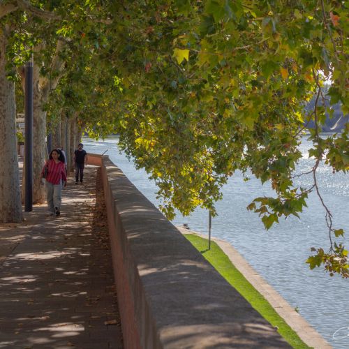 Les couleurs de Toulouse (Haute-Garonne | France)