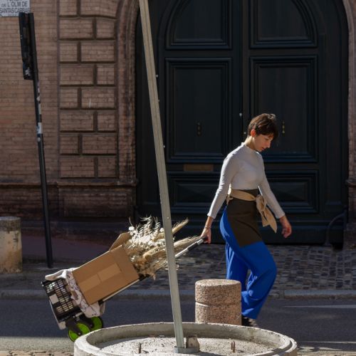 Les couleurs de Toulouse (Haute-Garonne | France)