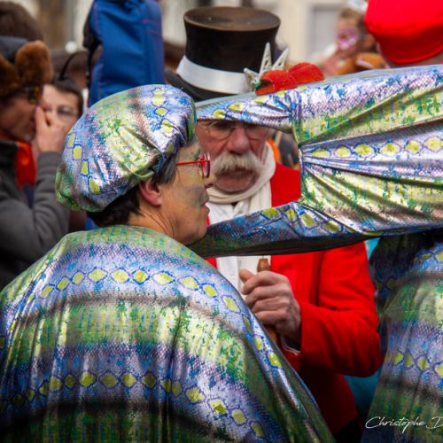 Carnaval de Tarbes 2025