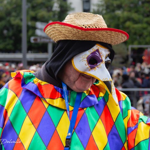 Carnaval de Tarbes 2025