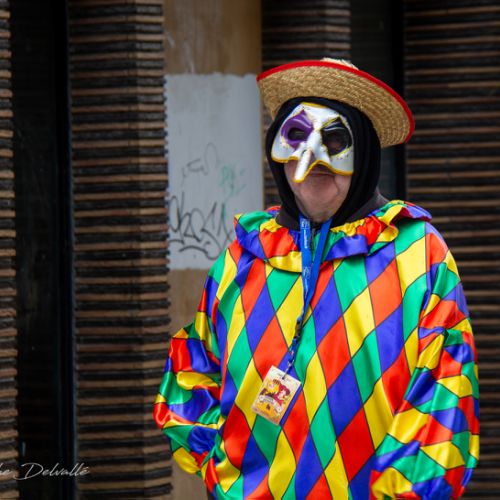 Carnaval de Tarbes 2025