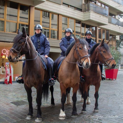 Carnaval de Tarbes 2025