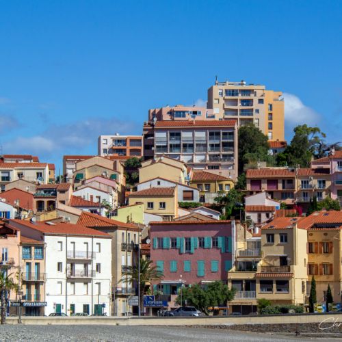 Banyuls - Pyrénées Orientales 2026