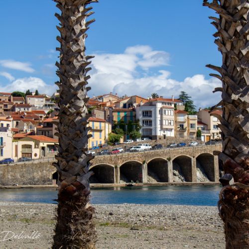 Banyuls - Pyrénées Orientales - 2026