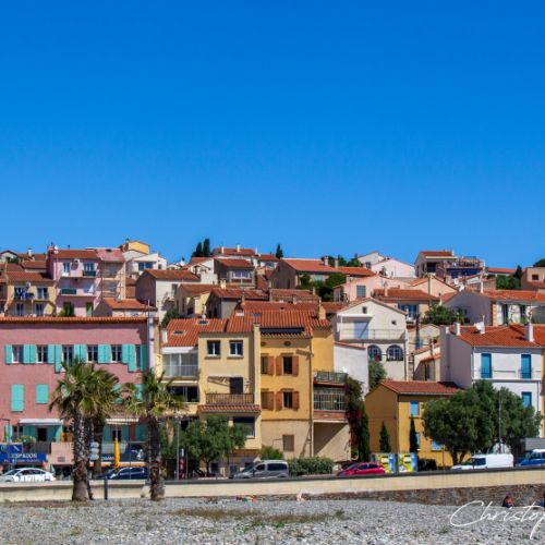 Banyuls - Pyrénées Orientales - 2026