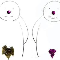 Extrait de l'album In Vino Veritas tome 1