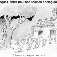 Extrait du recueil : les moustachus ont des poils sous le nez