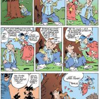 La fée Ratatouille : scénario de Delvallé - dessins de Durou