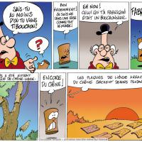 Extrait de l'album : les secrets de la Gironde