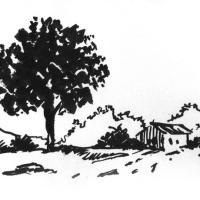 Croquis rapide à l'encre de Chine - une minute