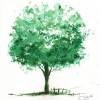 Croquis à l'aquarelle
