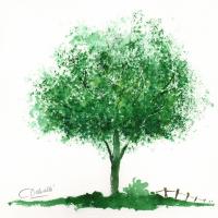 Croquis à l'aquarelle