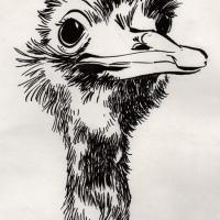 Croquis à l'encre de Chine