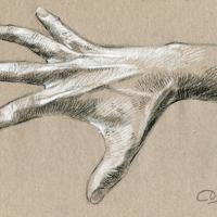 Croquis à la pierre noire et à la craie blanche
